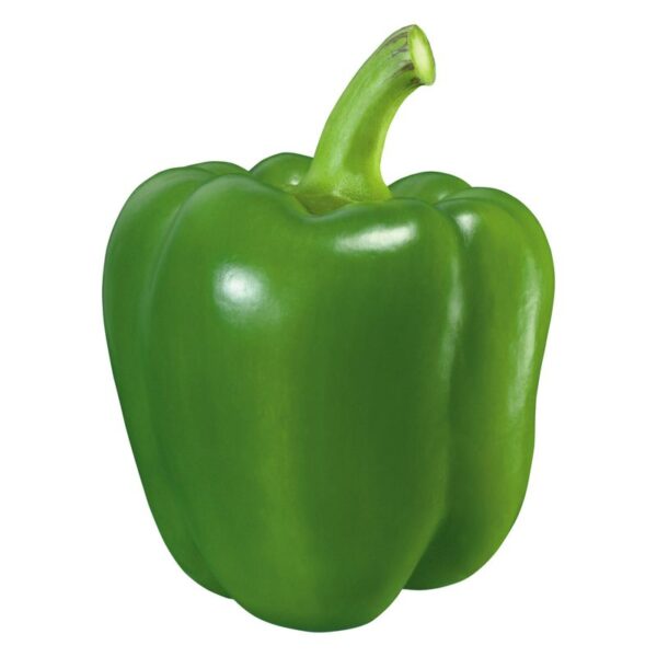 Capsicum Green Each